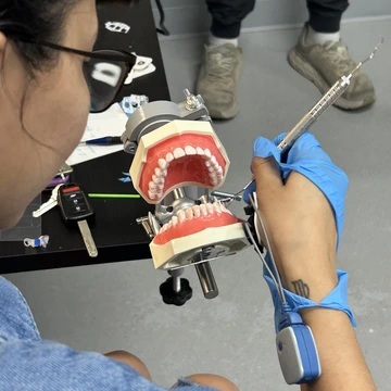 A person wears a blue glove and holds a dental tool.